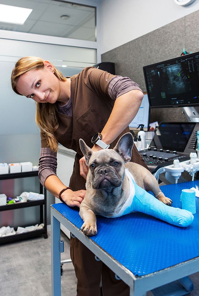 Krzycka Vet portrety