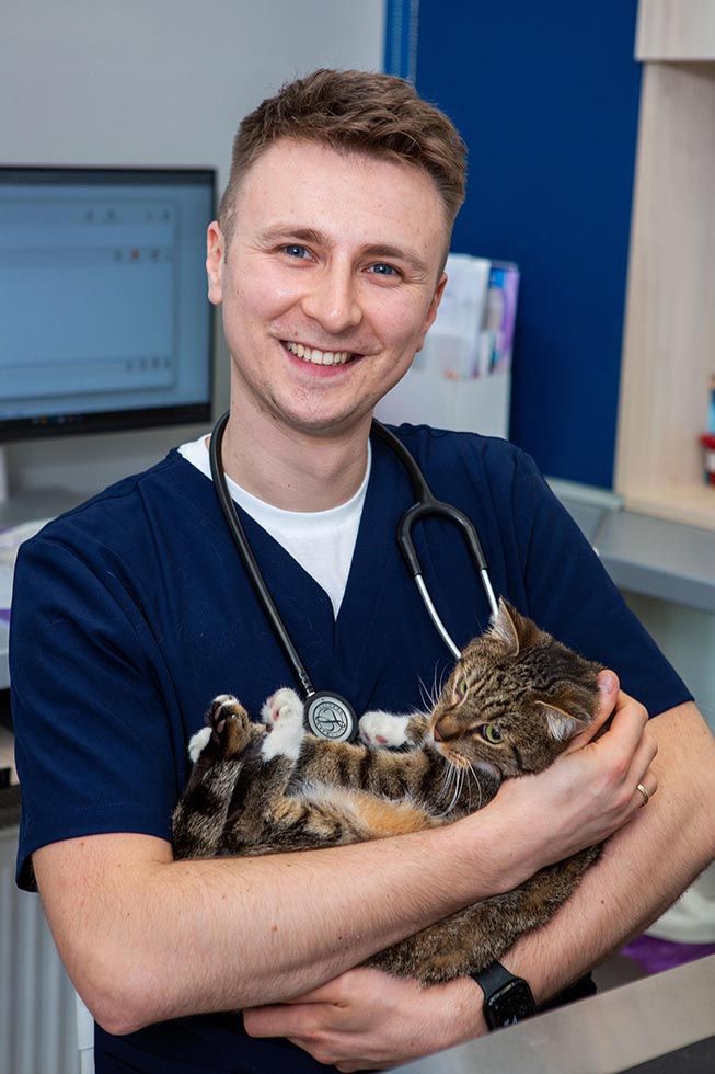 Zdjęcia lekarzy weterynarii 987