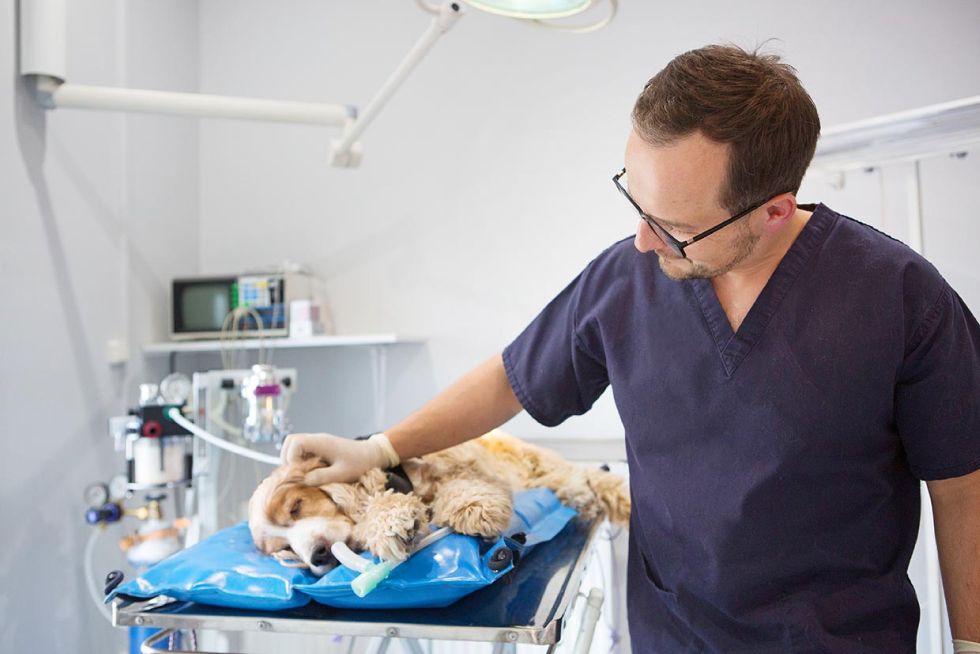 Doktor Michał zdjęcia