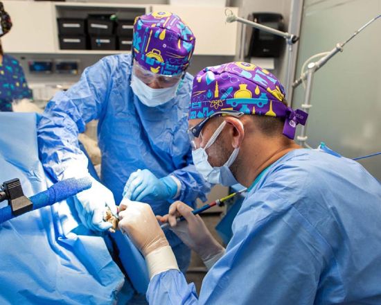 Social media, content creator, Mobile video @ Reels dla medycyny