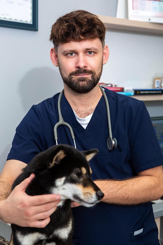 Profesjonalne zdjęcia lekarzy weterynarii 654