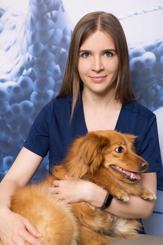 Sesja wizerunkowa lekarza weterynarii 654